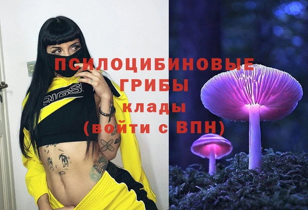 спиды Пролетарск