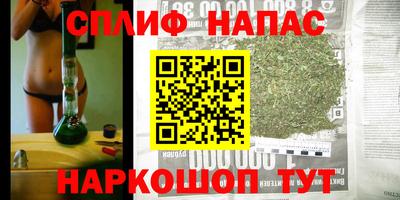 спиды Новодвинск