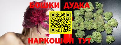 спиды Новодвинск