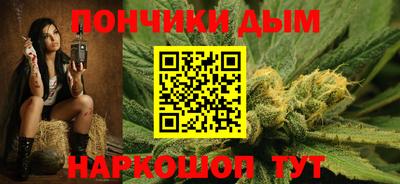 спиды Новодвинск