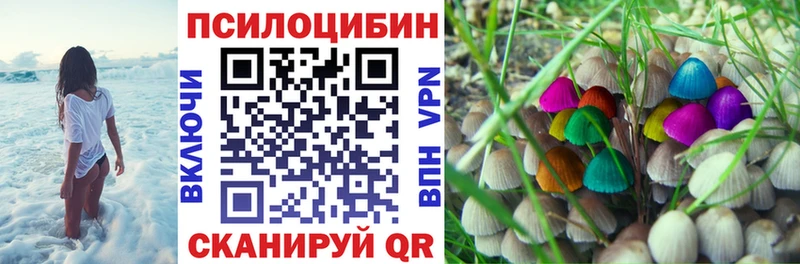 наркошоп  OMG ссылка  Галлюциногенные грибы Psilocybe  Холмск 
