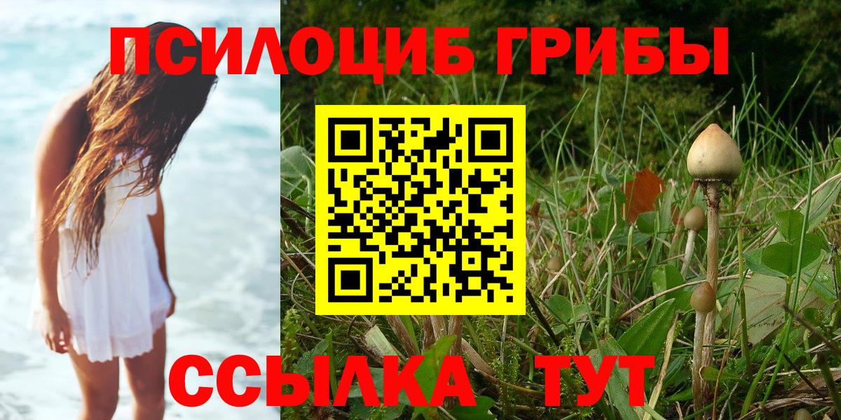 Галлюциногенные грибы мицелий  где купить наркоту  Холмск  Вход с VPN 