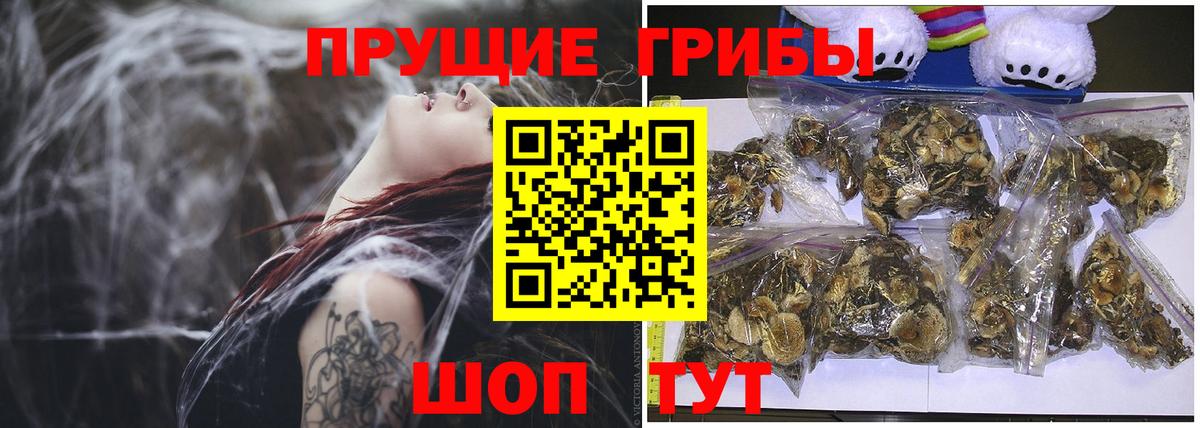 Галлюциногенные грибы GOLDEN TEACHER Холмск