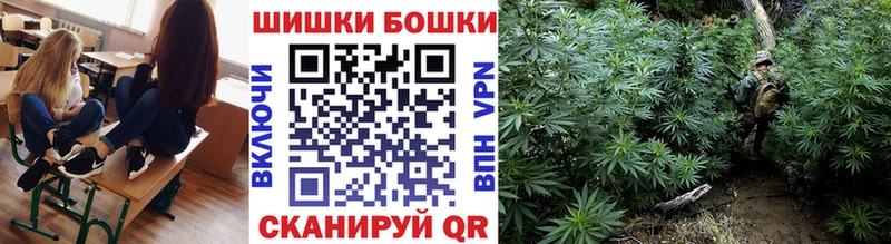 где купить наркоту  Холмск  Бошки марихуана ГИДРОПОН 