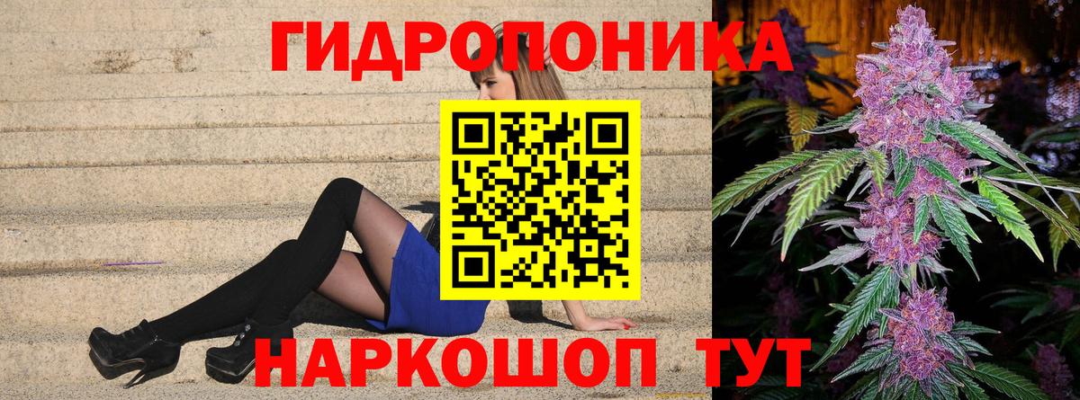 Каннабис план Холмск